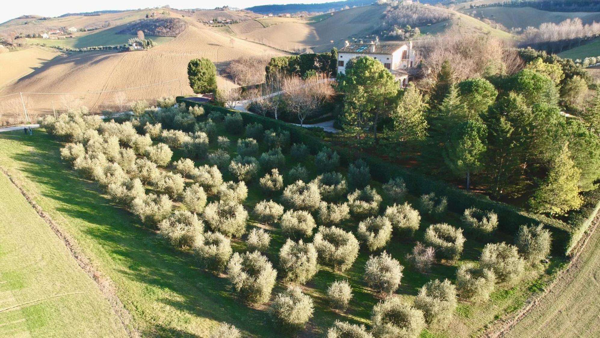 Monterosato Country House Monterubbiano Kültér fotó